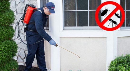Ürgüp Dezenfeksiyon böcek ilaçlama ve haşere kontrolü — ilaclama-tr.com